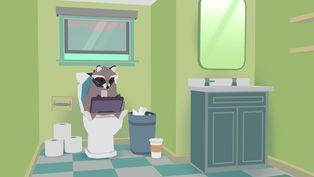 Donut County